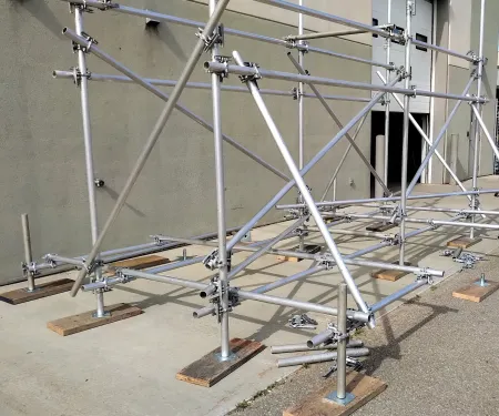 scaffold-training