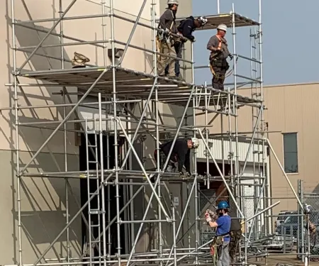 scaffold-training
