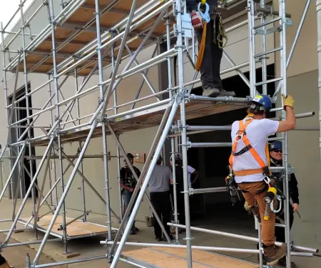scaffold-training